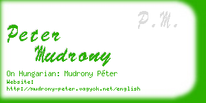 peter mudrony business card